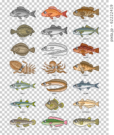 海水魚 イラスト カラー1 ドット絵のイラスト素材