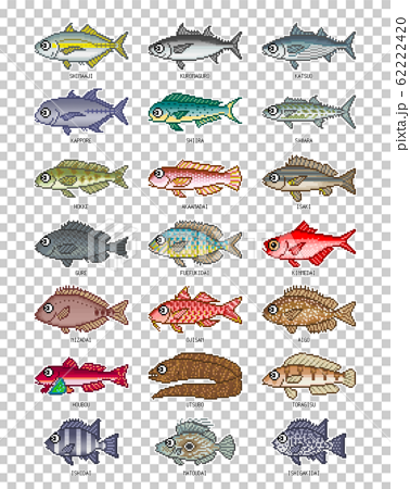 海水魚 イラスト カラー2 ドット絵のイラスト素材