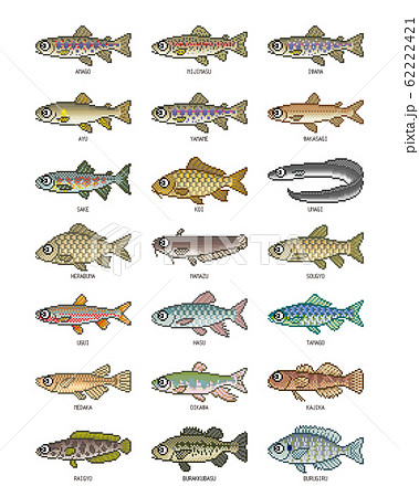 淡水魚 イラスト カラー ドット絵のイラスト素材