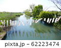 こいのぼり 62223474