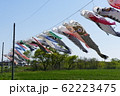 こいのぼり 62223475