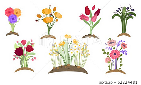 Forest flowers garden. Spring floral planting, simple gardening. Blossom fields, isolated bouquets growing. Springtime plants vector set 62224481