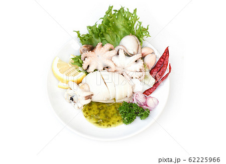 Cooked food squids octopus or cuttlefish at 62225966
