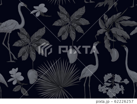 Seamless pattern, background. with tropical plants and flowers with orchid and tropical birds. 62226257