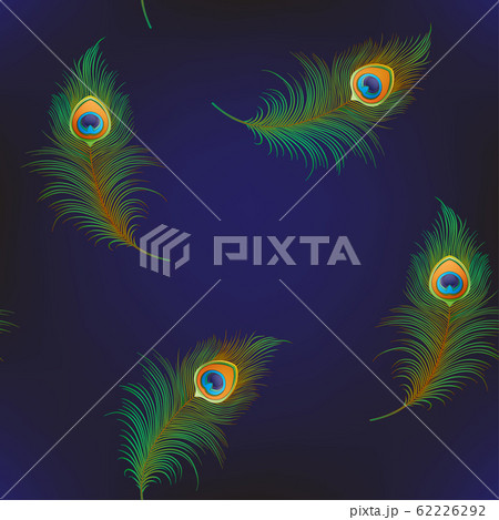 Peacock feathers Seamless pattern, background 62226292
