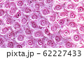 Spring forest close up flowers pink beautiful background 62227433