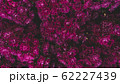 Spring forest close up flowers pink beautiful background 62227439