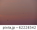 夕焼け 62228342