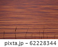 夕焼け 62228344