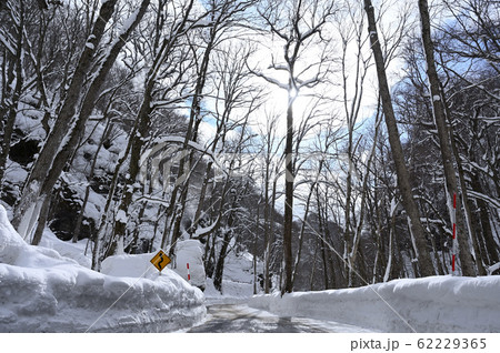 雪の奥入瀬渓流の道 雪の奥入瀬渓流の道 62229365