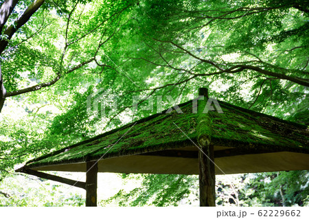 四阿 四阿 62229662