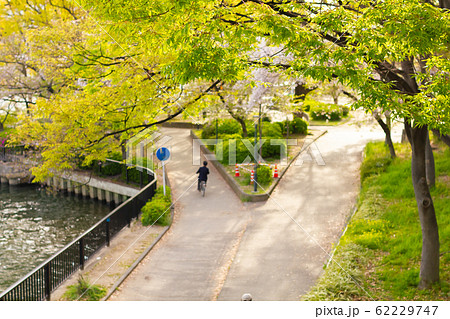 大阪府毛馬桜ノ宮公園の二手に分かれた散歩道 大阪府毛馬桜ノ宮公園の二手に分かれた散歩道 62229747