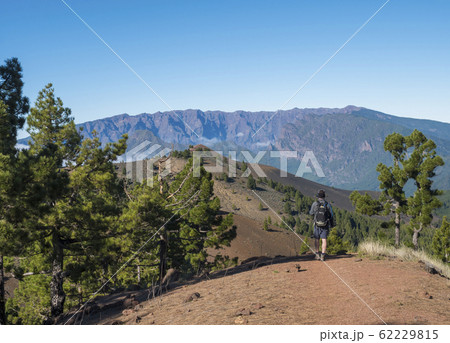 Volcanic landscape with lush green pine trees, colorful volcanoes and lava rock field along path Ruta de los Volcanes, hiking trail at La Palma island, Canary Islands, Spain, Blue sky background 62229815