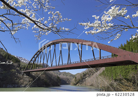 春の風景 桜と渓谷の橋 奥裾花大橋 長野市鬼無里地区 春の風景 桜と渓谷の橋 奥裾花大橋 長野市鬼無里地区 62230528