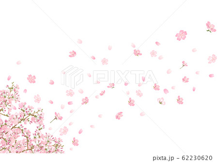 桜吹雪 1のイラスト素材