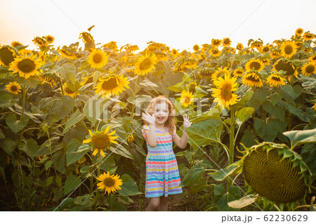 Happy child girl walking in sunflowers. Beautiful summer day 62230629