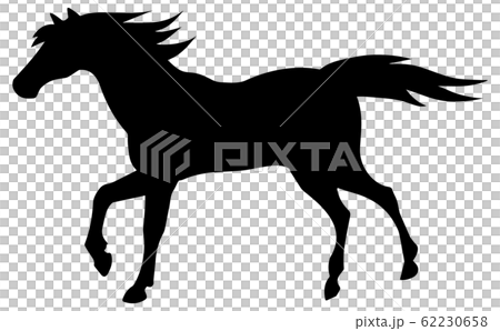 シルエット 動物 馬 03 走る シルエット 動物 馬 03 走る 62230658