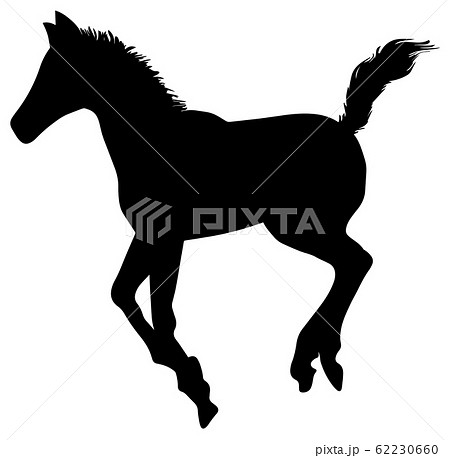 シルエット 動物 馬 05 走る小馬のイラスト素材