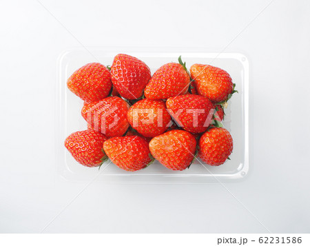 苺　白バック 62231586