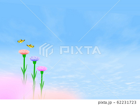カーネーション畑 コピースペース 蝶 カーネーション畑 コピースペース 蝶 62231723