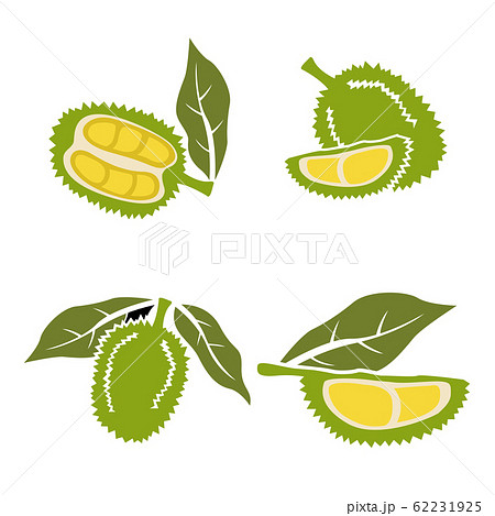 Flat Durian and cut piece vector with isolated white background.King of fruit.Tropical fruit. Flat Durian and cut piece vector with isolated white background.King of fruit.Tropical fruit. 62231925