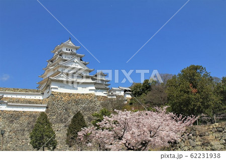 姫路城の桜 62231938