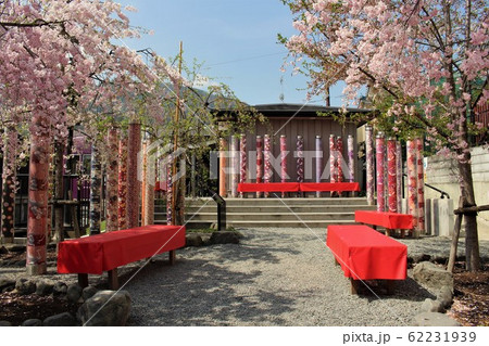 嵐電・嵐山駅・友禅の林と桜 62231939