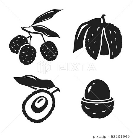 Vector Illustration Of Lychee Tropical Fruit のイラスト素材