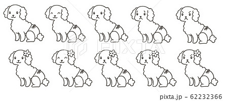 サニタリーパンツをはいたトイプードルのセット_線のみ 62232366