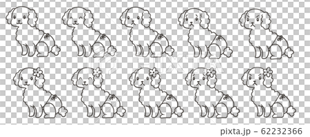 サニタリーパンツをはいたトイプードルのセット_線のみ 62232366