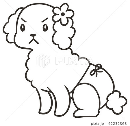 サニタリーパンツをはいたトイプードル(怒り顔2)_線のみ サニタリーパンツをはいたトイプードル(怒り顔2)_線のみ 62232368