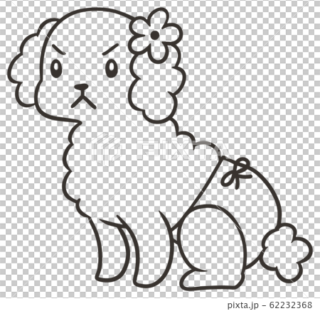 サニタリーパンツをはいたトイプードル(怒り顔2)_線のみ サニタリーパンツをはいたトイプードル(怒り顔2)_線のみ 62232368