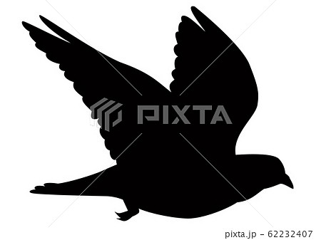 シルエット 鳥 鳩 ハトのイラスト素材