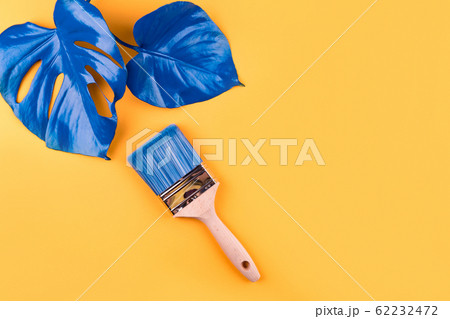 Blue brush and two leaves of plant. Blue brush and two leaves of plant. 62232472