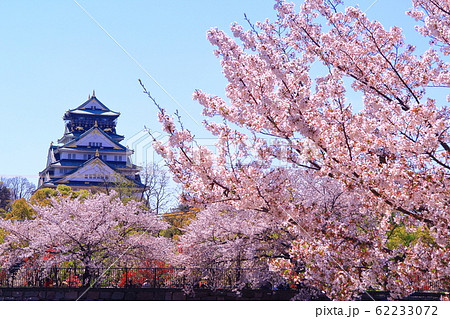 大阪城（大阪市　中央区）周辺の満開の桜 62233072