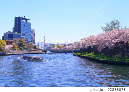 第二寝屋川(大阪市 中央区) ビジネスパーク周辺の桜並木 第二寝屋川(大阪市 中央区) ビジネスパーク周辺の桜並木 62233073