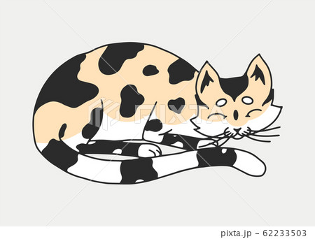 Sleeping Cat Or Kitten Meow Power Cute Pet のイラスト素材 62233503 Pixta