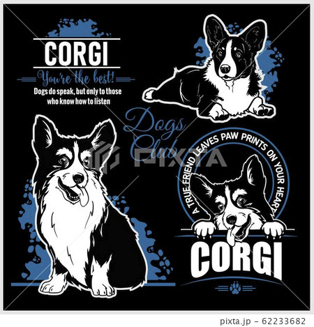 Corgi - vector set for t-shirt, logo and template badges 62233682