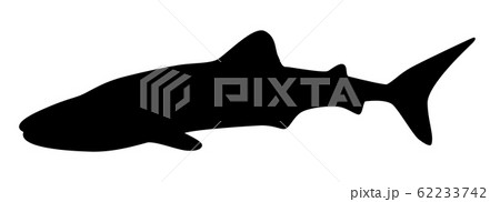 シルエット 魚と水族館の仲間 ジンベエザメのイラスト素材