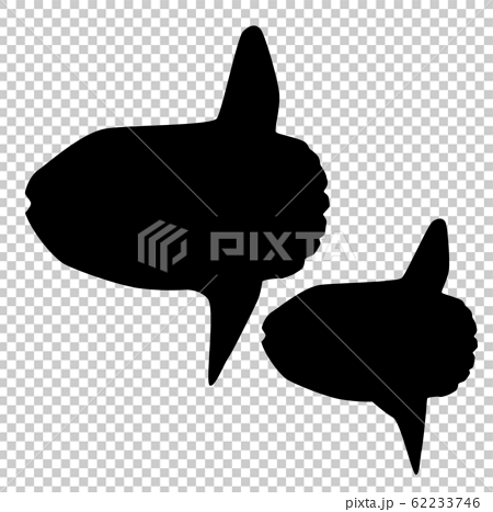 シルエット 魚と水族館の仲間 マンボウの親子のイラスト素材