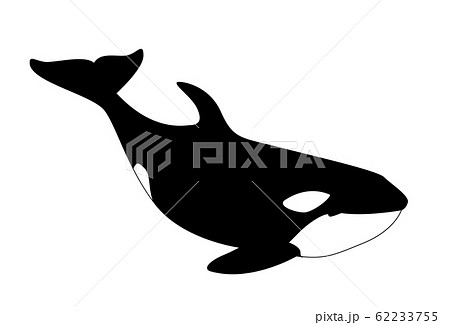 シルエット 魚と水族館の仲間 シャチ02のイラスト素材 シルエット 魚と水族館の仲間 シャチ02のイラスト素材