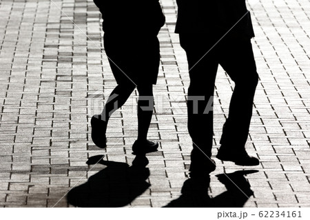 逆光に浮かぶ鳩のシルエット・神奈川県横浜市の山下公園、日本 62234161