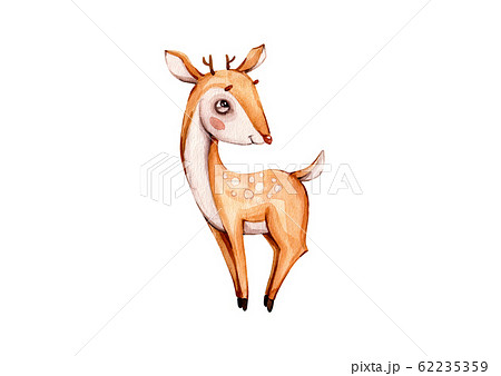 Cartoon cute baby deer for print design, baby shower. Isolated illustration. Nursery woodland illustration. 62235359