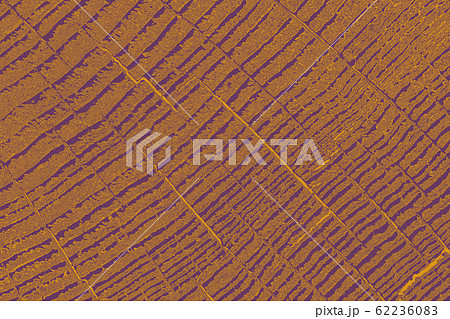 Cut tree stump surface as a background Cut tree stump surface as a background 62236083
