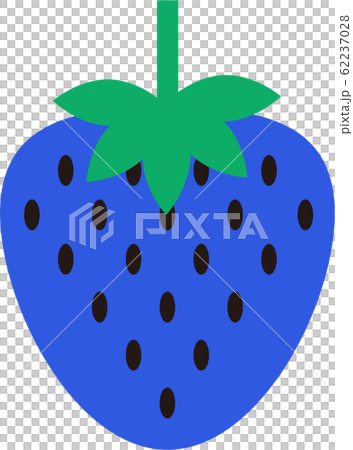 Blueberry icon illustration Blueberry icon illustration 62237028