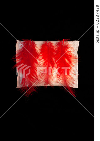 Menorrhagia or heavy menstruation bleeding. Sanitary napkin pads in stack with red feather on black background. Menstrual cycle feminine critical days hygiene product.Irregular period creative concept 62237429