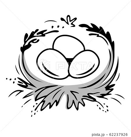 Easter Eggs In The Nest. Happy Easter Eggs. 62237926