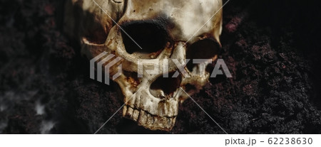 Skull of a dead man in on the ground Skull of a dead man in on the ground 62238630