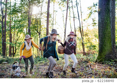 Senior women friends with dog on walk outdoors in forest. 62238840