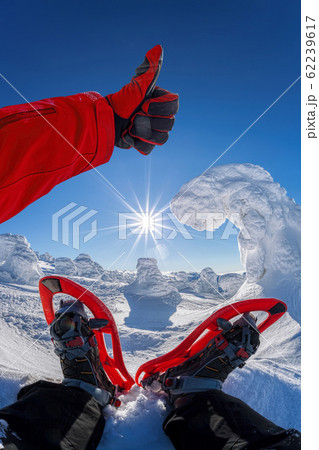 Snowshoe against winter forest with blue sky 62239617